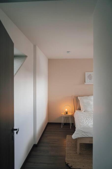 Gemuetliche Wohnung Nahe Kurpark バート・リップシュプリンゲ エクステリア 写真